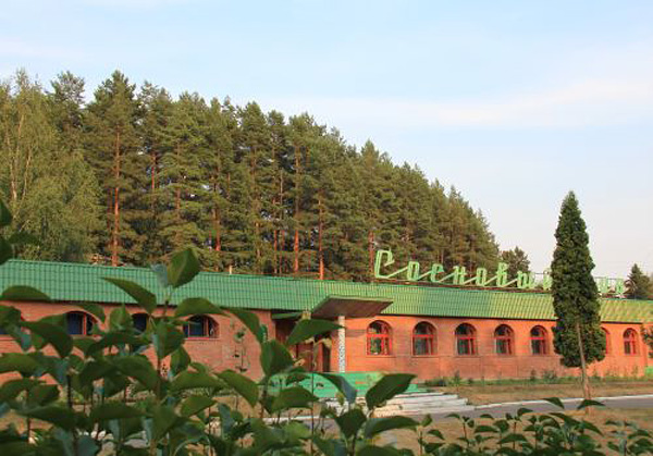 Сосновый бор